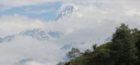 volunteer wildlife conservation in Nepal